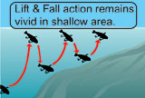 LIFT & Fall action in shore fishing