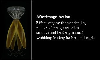 Afterimage Action